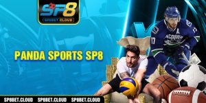 Panda sport SP8