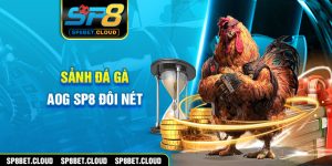 Sảnh đá gà AOG SP8