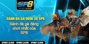 Sảnh đá gà odin 3d sp8