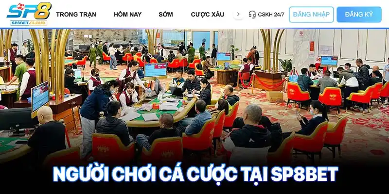 Người chơi cá cược tại SP8bet